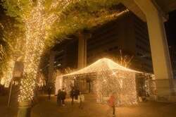 「立川駅北口サンサンロードに約60万球の光が灯る「たちかわイルミネーション2025」開催」の写真