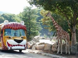 「【2025】11/13「茨城県民の日」無料＆割引スポット18選　おすすめ施設を厳選！」の写真