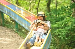 「【彦根周辺】10月25日・26日の今週末のおでかけにもおすすめ！人気スポットランキング」の写真