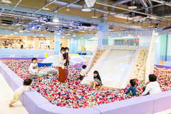 「【豊橋周辺】10月25日・26日の今週末のおでかけにもおすすめ！人気スポットランキング」の写真