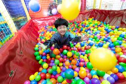 「【小田原周辺】10月25日・26日の今週末のおでかけにもおすすめ！人気施設ランキング」の写真