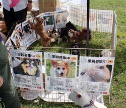 HUG ANIMALS! vol.14