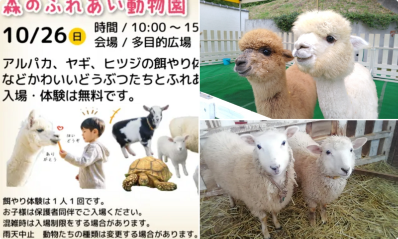 森のふれあい動物園