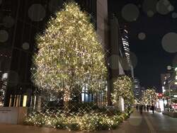「名古屋ミッドランドスクエアで煌めくクリスマス！観覧無料の豪華ライブ&サンタ登場も」の写真