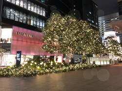 「名古屋ミッドランドスクエアで煌めくクリスマス！観覧無料の豪華ライブ&サンタ登場も」の写真