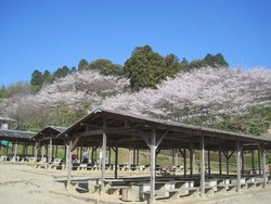 「【2025関西】食欲・収穫・行楽の秋におすすめ！親子で一日中楽しめる農業公園8選」の写真