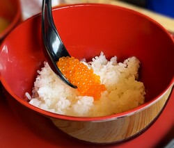 「ニジマス採卵体験と生しぼりイクラ丼が楽しめる特別イベント、滋賀県米原市で11月開催」の写真