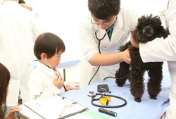 「上野公園で「2025動物感謝デー」開催　入場無料で動物ふれあいや獣医師体験も！」の写真