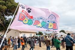 「横須賀の公園に富士山を背景に咲く25万本のコスモス畑！　愛犬と楽しむハロウィンも」の写真