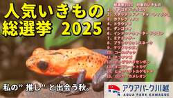 「川越市の次世代都市型水族館で推し動物総選挙開催！親子で楽しむハロウィンイベントも」の写真