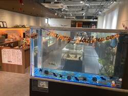「川越市の次世代都市型水族館で推し動物総選挙開催！親子で楽しむハロウィンイベントも」の写真