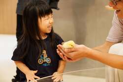「ららぽーと甲子園に動物カフェOPEN！　ナマケモノやカピバラなど20種以上とふれあえる」の写真