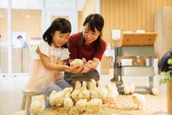 「ららぽーと甲子園に動物カフェOPEN！　ナマケモノやカピバラなど20種以上とふれあえる」の写真