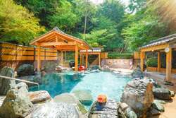 「香川県丸亀市のNEWレオマワールドでマツケンイルミナイトが開催！　一緒に踊れる」の写真