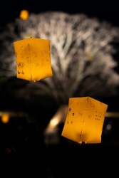 「願いを込めたランタンが夜空を舞う！千葉リソルの森でクリスマス限定イベント」の写真