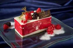 「願いを込めたランタンが夜空を舞う！千葉リソルの森でクリスマス限定イベント」の写真