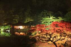 「香川県高松市でハロウィンイベント　巨大プロジェクションマッピングが3日間限定開催」の写真