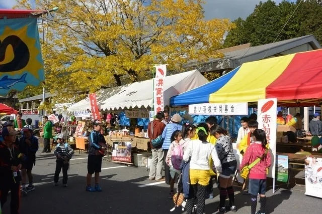 ひるかわMAIKA祭