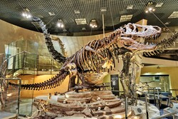 「2025年11月3日は「文化の日」で三連休に！関東の無料開放スポット」の写真