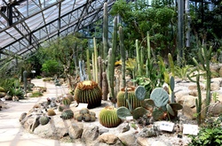 「2025年11月3日は「文化の日」で三連休に！関東の無料開放スポット」の写真