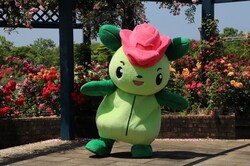 水俣ローズフェスタ・秋2025