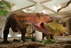 「【愛媛】11月1日～3日の三連休おでかけにもおすすめ！人気スポットランキング」の写真