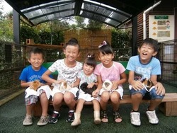 「【高知】11月1日～3日の三連休おでかけにもおすすめ！人気スポットランキング」の写真