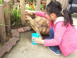 「【高知】11月1日～3日の三連休おでかけにもおすすめ！人気スポットランキング」の写真