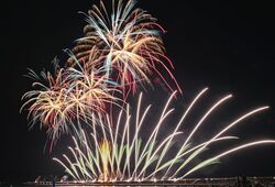 花火ショー「スターライトイリュージョン」