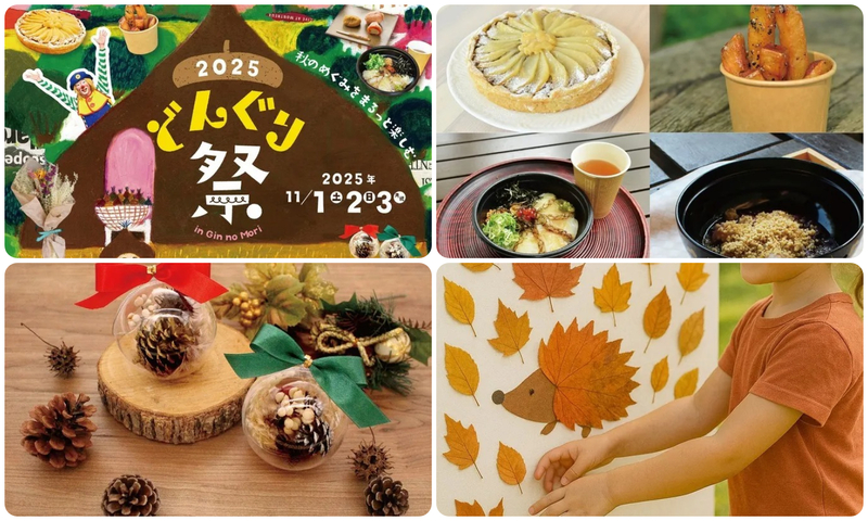 どんぐり祭2025