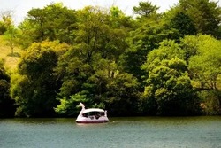 「【大分】11月1日～3日の三連休おでかけにもおすすめ！人気スポットランキング」の写真