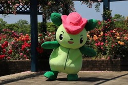 水俣ローズフェスタ・秋2025