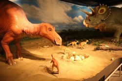 「【新潟】11月1日～3日の三連休おでかけにもおすすめ！人気スポットランキング」の写真