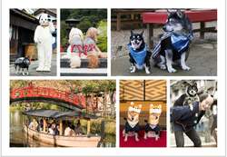 前回開催の様子