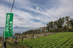 浅尾ダイコンまつり│(C)北杜市