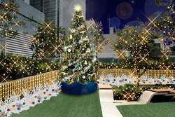 「ハリー・ポッター25周年記念の魔法クリスマス！　名古屋と横浜で開催」の写真