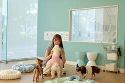 「北海道初！保護犬猫とふれあえるカフェ「ANELLA CAFE 札幌清田店」が新オープン！」の写真