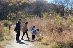 秋の自然観察オリエンテーリング
