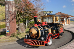 「【鹿児島】11月1日～3日の三連休おでかけにもおすすめ！人気スポットランキング」の写真