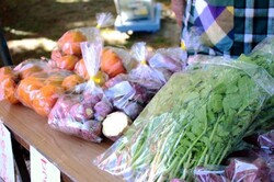花立山〜秋の収穫祭〜
