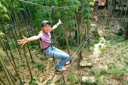 「栃木市に新アスレチック施設が誕生！　難易度を選べる森の冒険パーク」の写真