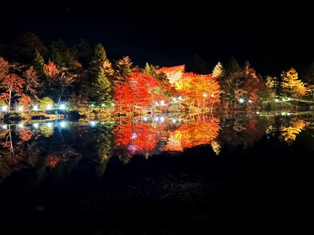 2025茶臼山高原紅葉ライトアップ／一般財団法人茶臼山高原協会