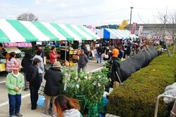 2025伊佐ふるさとまつり（伊佐市）