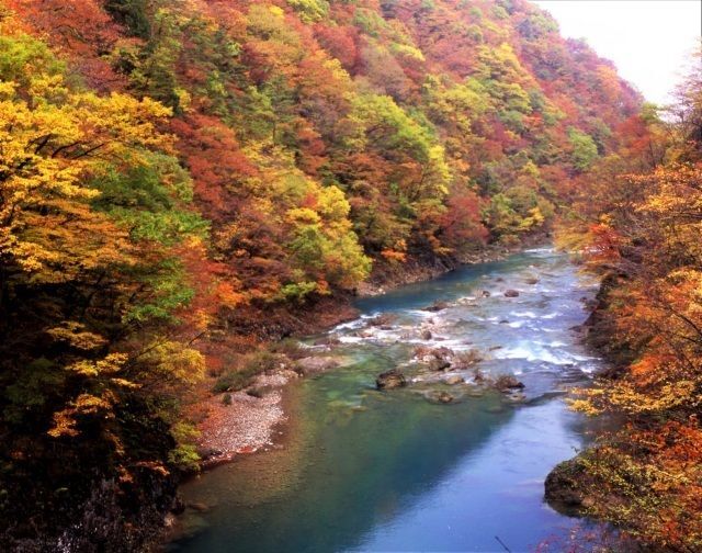 抱返り紅葉祭／仙北市観光課