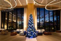 コーラルクリスマス