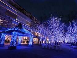 THE YOKOHAMA ILLUMINATION