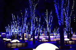 けやきひろばイルミネーション 2025-26