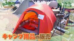 「万博記念公園の広大な芝生で春のアウトドア体験！　入場無料の大型フェス開催」の写真