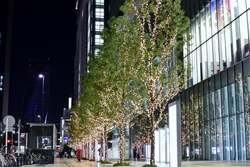 「音楽が色になる！　AIが演奏を可視化するKITTE名古屋のクリスマス体験」の写真