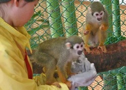 「【2025】11/14「埼玉県民の日」は3連休！無料＆割引スポット23選　県民以外もお得に！」の写真